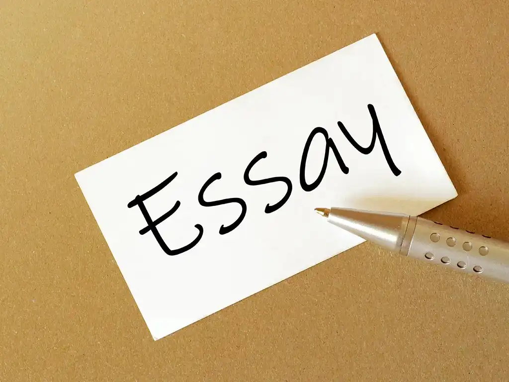 What Makes a Great Academic Essay? Let’s Break It Down Together